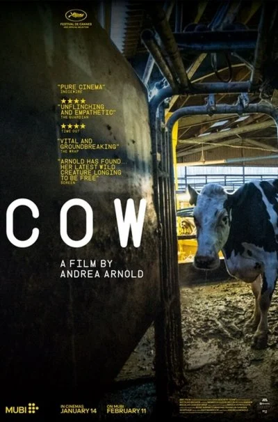 Cow di Andrea Arnold